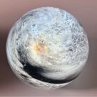 PL010L-SMALL-600x600